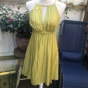 Esley Silky Chartreuse A-Line Dress